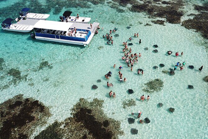 6-Hours Tour East Coast of Antigua: Stingray City, Lunch & Beach - Quick hits before you go