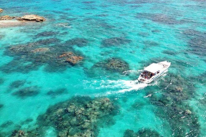 Adventure Antigua - Eli's Original Eco Tour - Stop 3: Long Bay (Jumby Bay) and the Turtle Conservation Talk