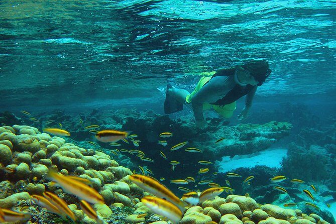 Adventure Antigua - Eli's Original Eco Tour - Stop 1: Great Bird Island (Swim, Snorkel, Birdwatch, and Lunch)