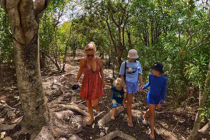 Adventure Power Boat Tour Antigua and Private Laviscount Island - Laviscounts Island: lunch, fish at the docks, and Aldabra tortoises