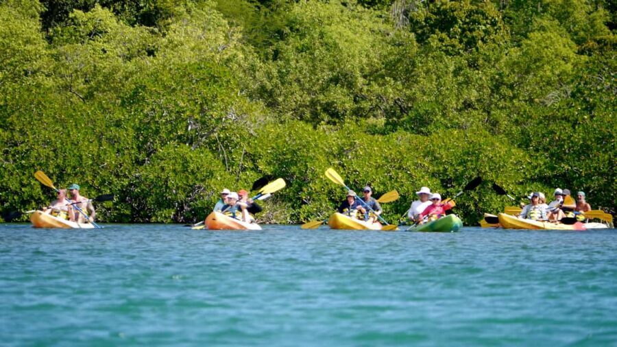 Antigua: Drink Till Your Drunk Rum Drinking & Discovery Tour - Key highlights worth your time