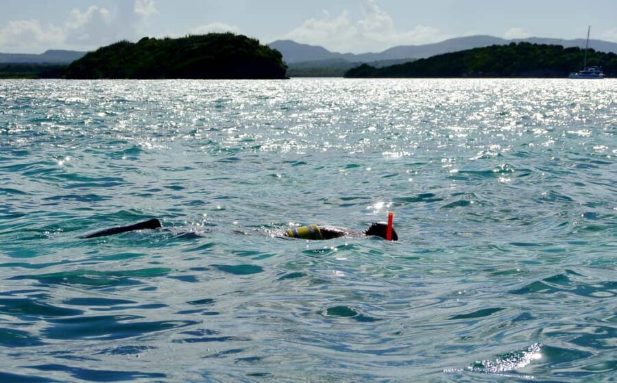 Antigua: Drink Till Your Drunk Rum Drinking & Discovery Tour - A 3.5-hour Antigua rum sprint that stays fun (not messy)