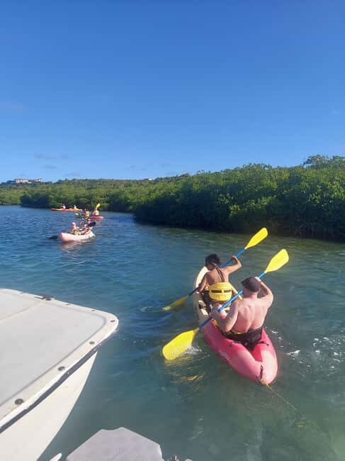 Antigua: Drink Till Your Drunk Rum Drinking & Discovery Tour - St John’s scenic stop: a quick way to get oriented