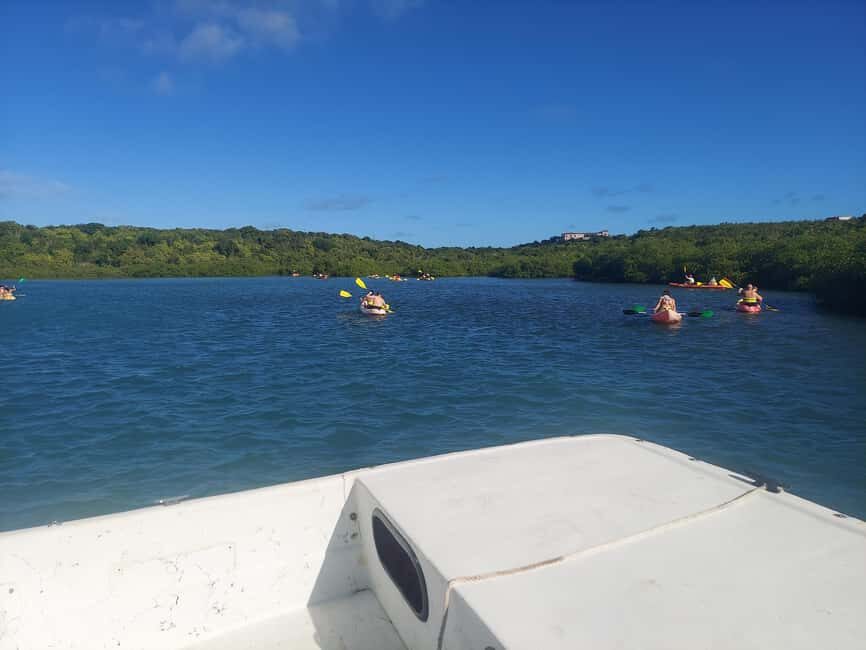 Antigua: Drink Till Your Drunk Rum Drinking & Discovery Tour - On-board rum, local music, and the role of your guide