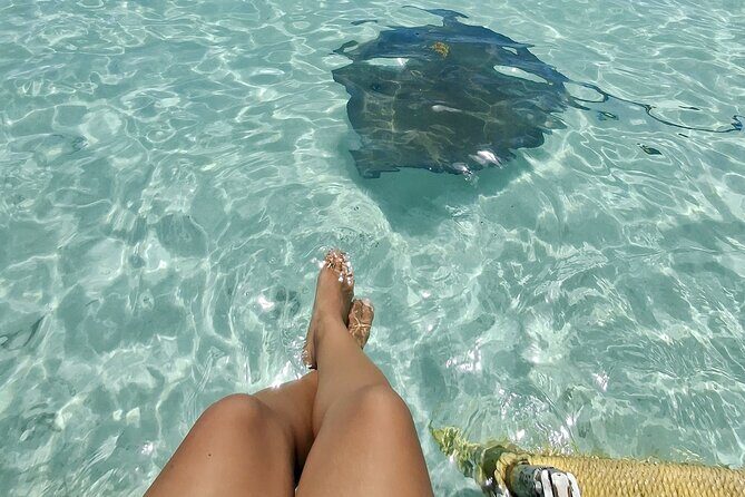 ANTIGUA FROM TOP TO BOTTOM: Stingray City, Beach, lunch & more... - Key highlights you’ll actually care about