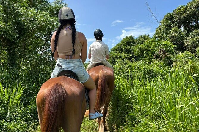 Antigua Horse Ride and Swim - Key Things You’ll Notice Before You Go