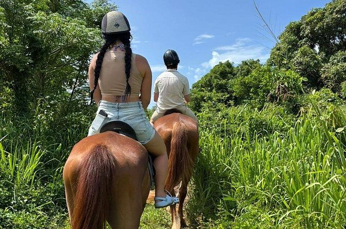 Antigua Horse Ride and Swim - Photo Moments and Superyacht Season Backdrops