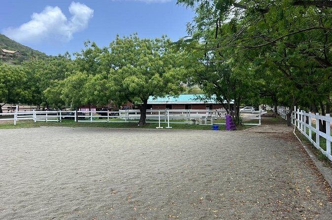Antigua Horse Ride and Swim - Safety Gear and a Staff Ratio That Actually Helps