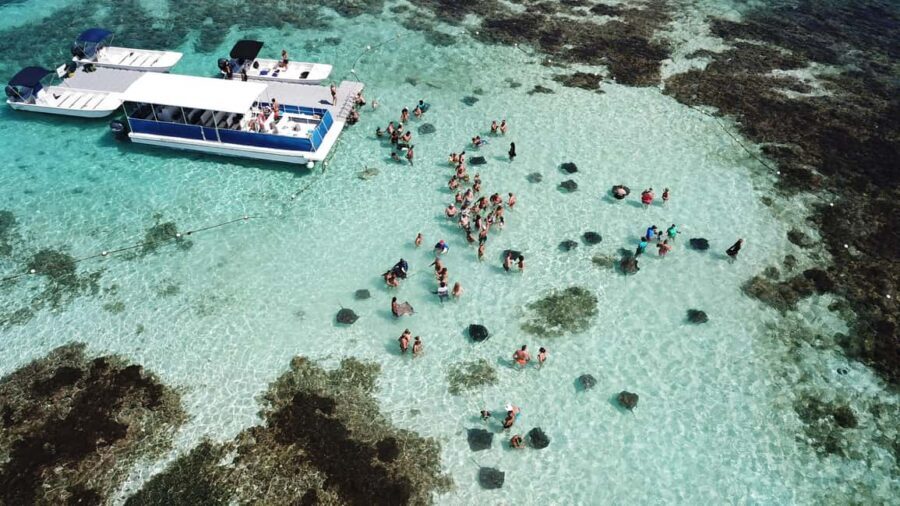 Antigua: Stingray City Experience with Round-Trip Transfer - Should you book Stingray City Antigua with round-trip transfer?