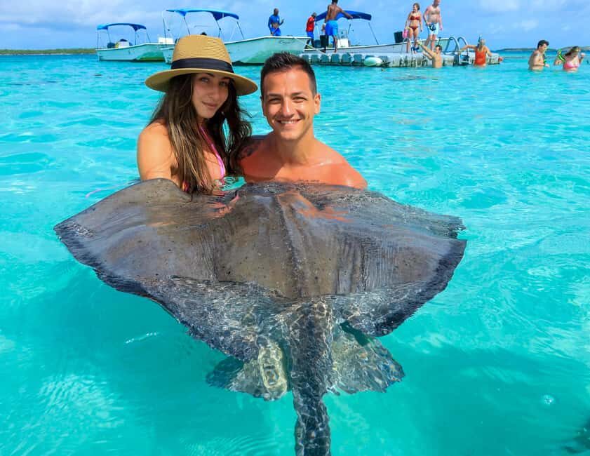 Antigua: Stingray City Experience with Round-Trip Transfer - The stingray part: shallow water, direct contact, and how to feel comfortable
