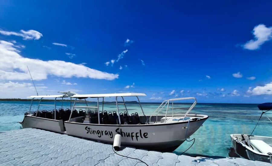 Antigua: Stingray City Experience with Round-Trip Transfer - What happens after you’re back: showers and a clean reset