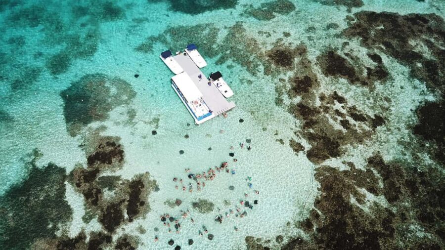 Antigua: Stingray City Experience with Round-Trip Transfer - Guides and the on-island vibe: the difference good leadership makes