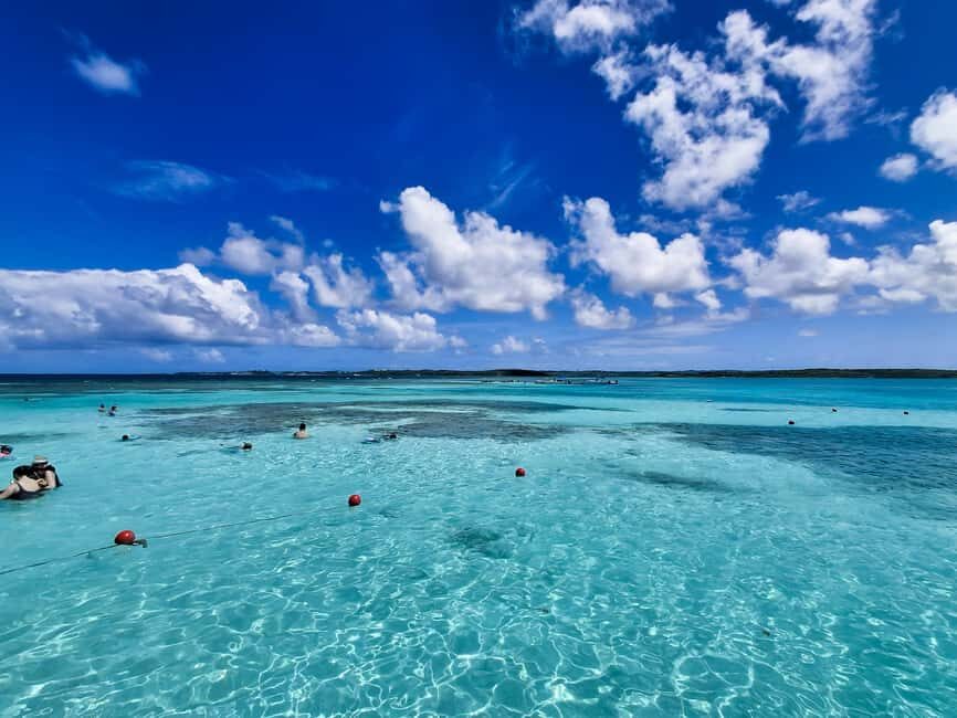 Antigua: Stingray City Experience with Round-Trip Transfer - Seatons, speedboat time, and what the safety briefing actually means