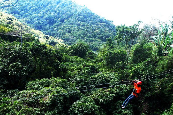 Antigua Zipline Canopy Adventure from St John’s - Safety Briefing and Gear: How the Tour Builds Confidence