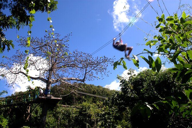 Antigua Zipline Canopy Adventure from St John’s - The Real Work: Uneven Trails and the Final Steps