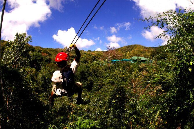Antigua Zipline Canopy Adventure from St John’s - Snacks, Water, and the Certificate Moment at the End