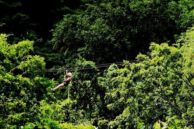 Antigua Zipline Canopy Adventure from St John’s - Who Should Book This Zipline Adventure from St John’s?