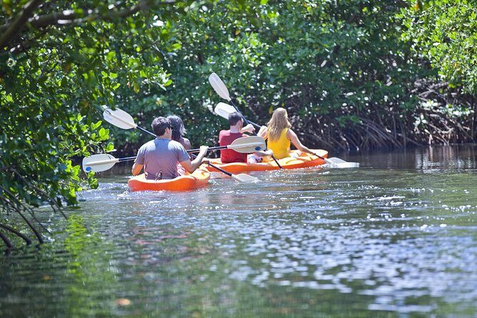 Antigua Zipline & Kayaking Combo From St. John's - Price and value: what $222.47 buys you