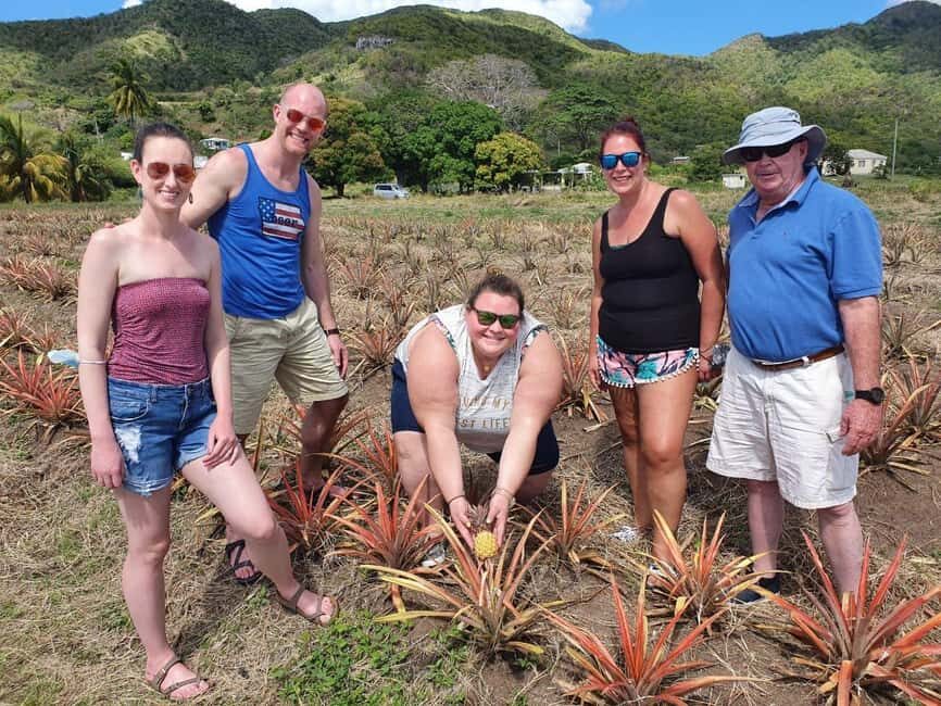 Antiguan experience home tour with local guide with lunch - Cheers Antigua pickup and the village-drive rhythm