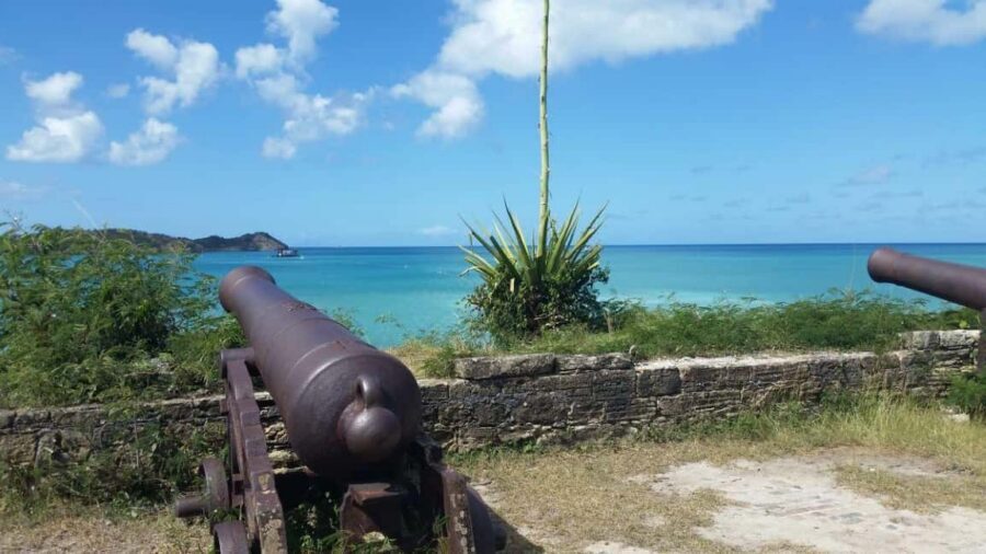 Antiguan experience home tour with local guide with lunch - Pineapple farm walk and the Antigua Black Pineapple taste