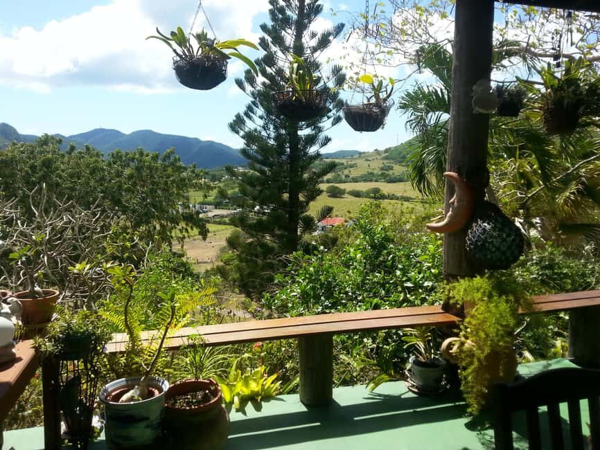 Antiguan experience home tour with local guide with lunch - Old sugar mills at Ffryes Estate before the white-sand beach