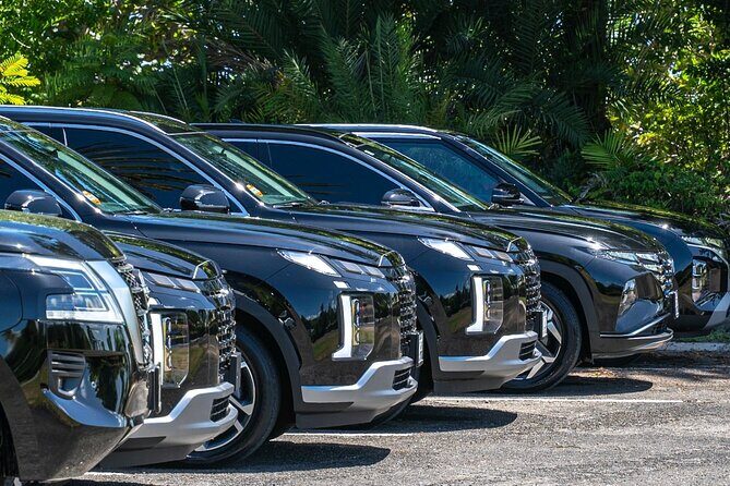 Biggvee Premium Airport One Way Transfer - The Pickup at V.C. Bird Airport (Where You Start)