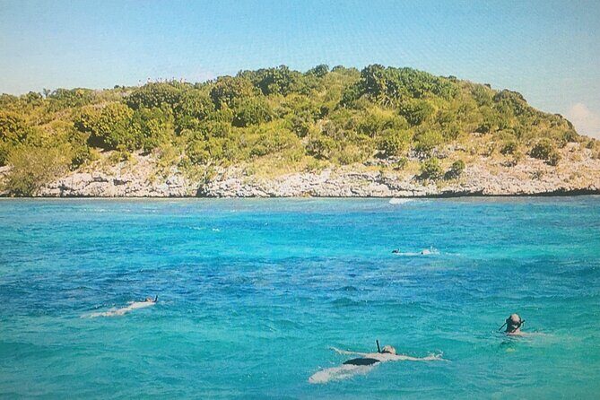 Cades Reef Snorkel Cruise from St. John's Antigua - St. John’s Start Point and Pickup: How to Avoid Wasted Time