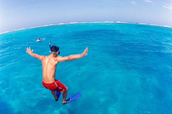 Cades Reef Snorkel Cruise from St. John's Antigua - Should You Book Cades Reef Snorkel Cruise from St. John’s?