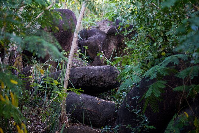 Caribbean Stonehenge - Hike on Green Castle Hill, Antigua. - What you’re really getting: archeoastronomy plus a nature walk