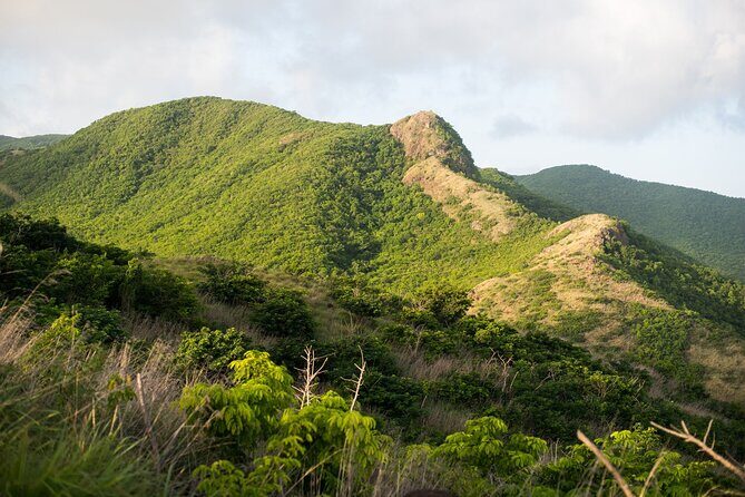 Caribbean Stonehenge - Hike on Green Castle Hill, Antigua. - The core stop: walking Greencastle Hill’s megaliths