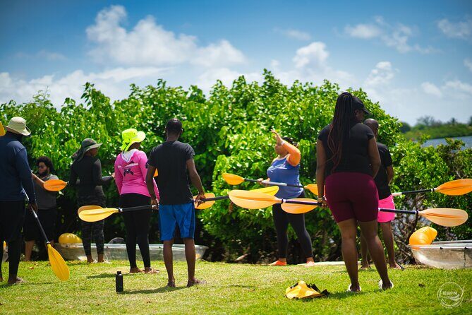 Clear Kayak Tour in Mangrove Antigua - Brittany and Her Team: The Guide Factor That Makes It Worth It