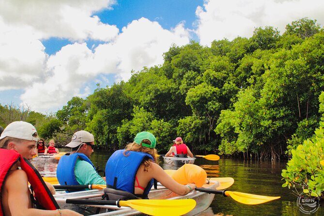 Clear Kayak Tour in Mangrove Antigua - Gear, Inclusions, and What You Should Bring