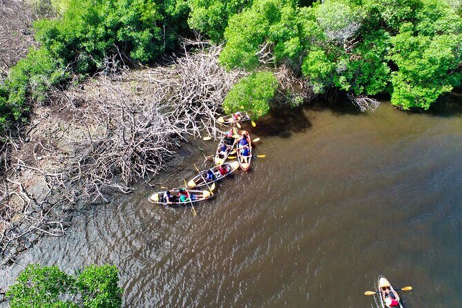 Clear Kayak Tour in Mangrove Antigua - Getting There: The Osbourn Meeting Point That Starts the Day