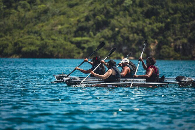 Crystal Kayak & Snorkel Eco Tour (with transfer) - Crystal Kayak & Snorkel in Antigua: Key Highlights