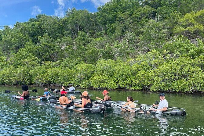 Crystal Kayak & Snorkel Eco Tour (with transfer) - Mangroves, Rock Beds, and a Sheltered Bay: What Your Paddle Area Feels Like