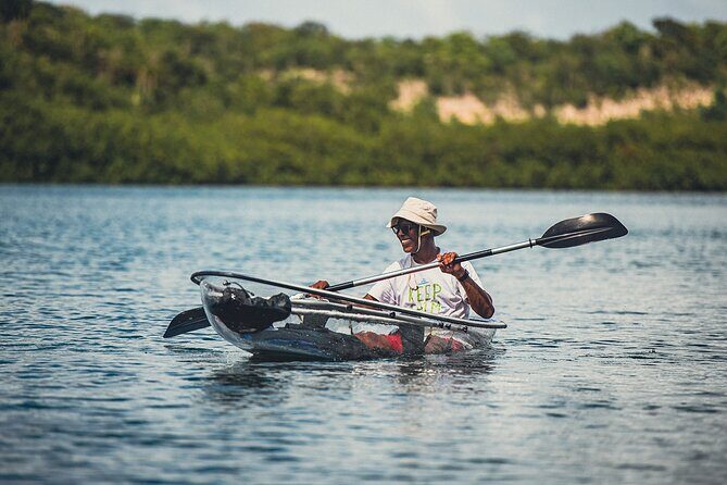 Crystal Kayak & Snorkel Eco Tour (with transfer) - Transfer Included: How the Logistics Save Your Energy for Water Time