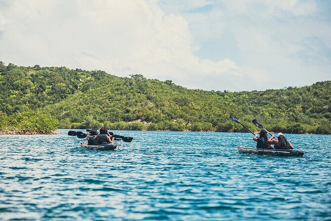 Crystal Kayak & Snorkel Eco Tour (with transfer) - Duration, Group Size, and the Pace of Your Morning