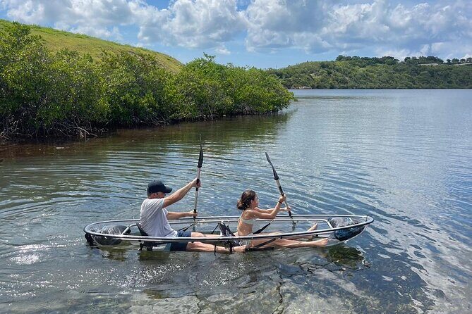 Crystal Kayak & Snorkel Eco Tour (with transfer) - The Crew, the Facility, and the Little Safety Details That Matter