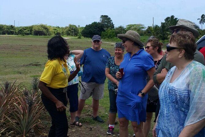 Cultural and Historical Home Tour in The Antiguan Experience - Starting at the Museum of Antigua and Barbuda photo stop
