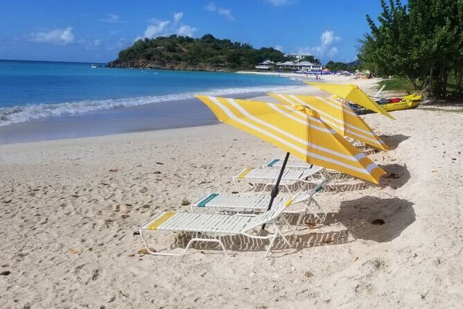 Cultural and Historical Home Tour in The Antiguan Experience - Price and value: what $65.77 buys you in real terms