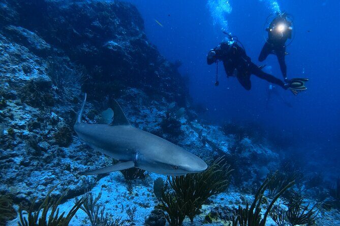 DiveCarib - An Eco-Friendly Certified Diver Trip in Antigua - Antigua Morning Start at the National Sailing Academy