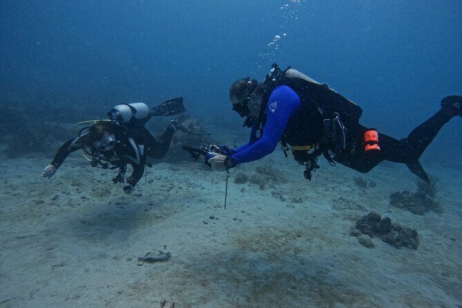 DiveCarib - An Eco-Friendly Certified Diver Trip in Antigua - Pre-Trip Intro, Team Time, and Gear Setup That Feels Real