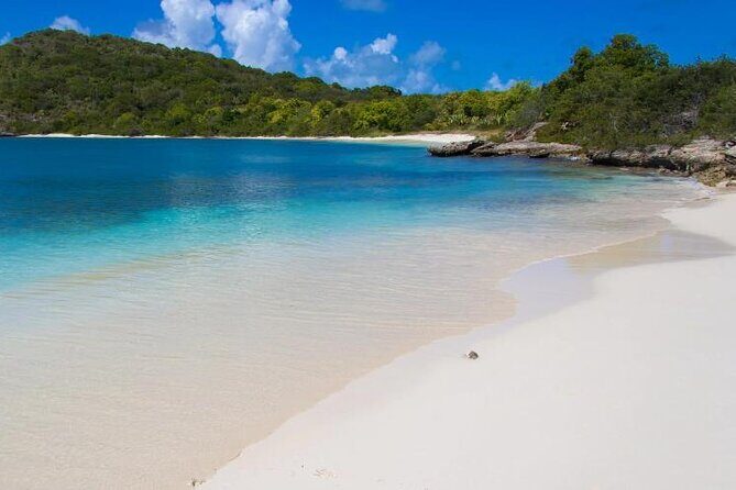 FANTASTIC Green Island and Sea Turtles - Half Day share boat trip - Key Things I’d Bet You’ll Care About