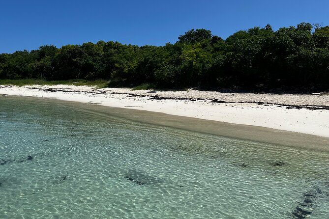 FANTASTIC Green Island and Sea Turtles - Half Day share boat trip - Why This Trip Feels Like a Real Green Island Pause