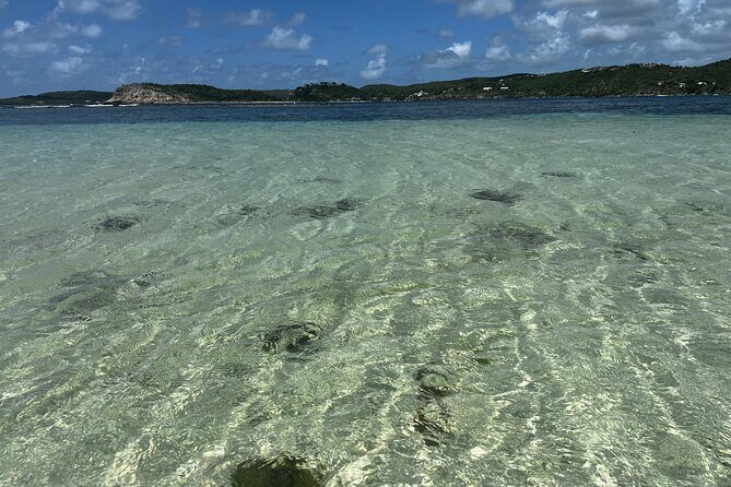 FANTASTIC Green Island and Sea Turtles - Half Day share boat trip - Stop Two: Green Island Beach Time, Turtles, Snorkel Gear, and Natural Pools