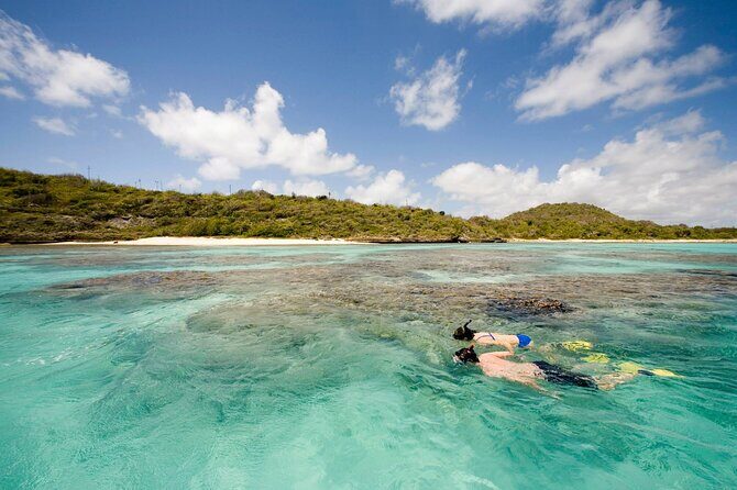 FANTASTIC Green Island and Sea Turtles - Half Day share boat trip - Stop Three: Willikies Transfer Back to St. John’s