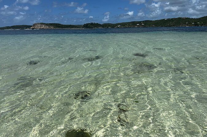FANTASTIC Green Island and Sea Turtles - Half Day share boat trip - Price and Value: Is $179.90 Fair for a Small-Group Green Island Trip?