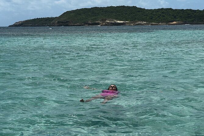 FANTASTIC Green Island and Sea Turtles - Half Day share boat trip - Timing Reality: The Best Moment Is Early, so Plan Like It