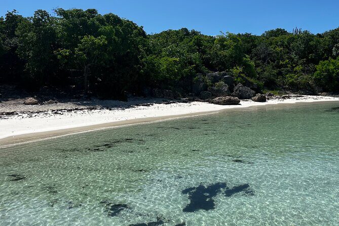 FANTASTIC Green Island and Sea Turtles - Half Day share boat trip - Getting From St. John’s to the Pier (and Why That Van Ride Matters)