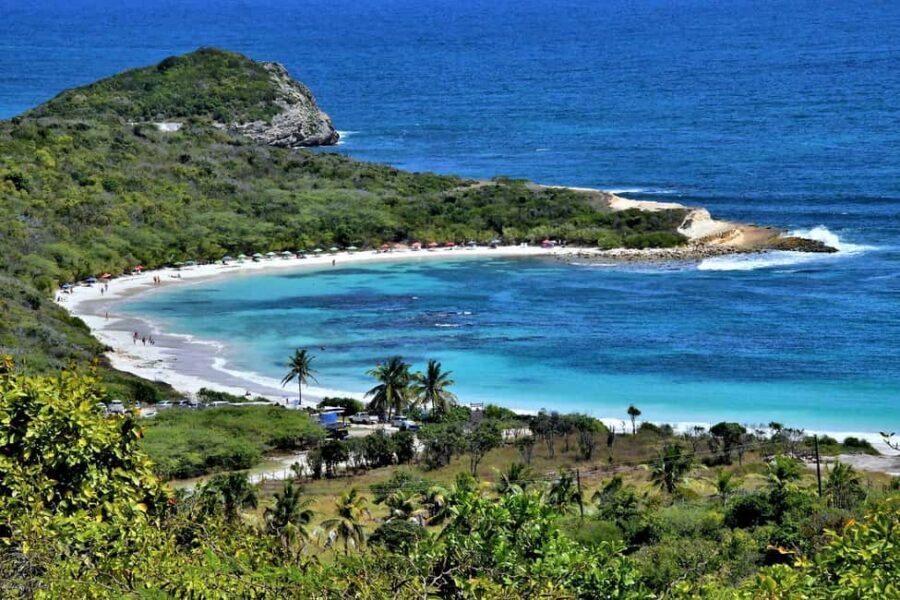 From St John's: Half Moon Bay Beach Half-Day Trip by Van - Your beach setup is handled: sunbed, umbrella, water, and wine